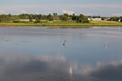 Evening Serenity  by mary hindle
